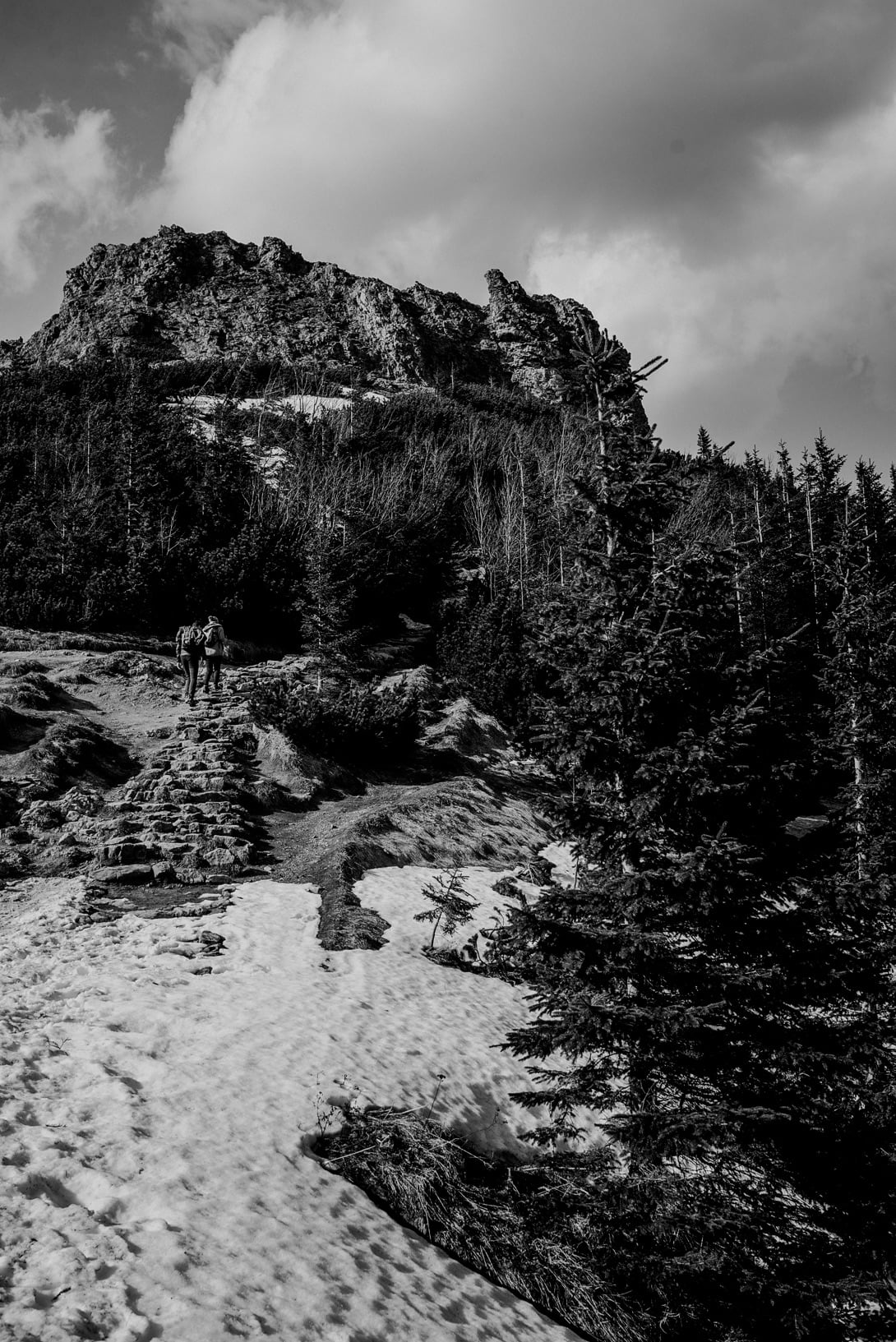 sesja Tatry