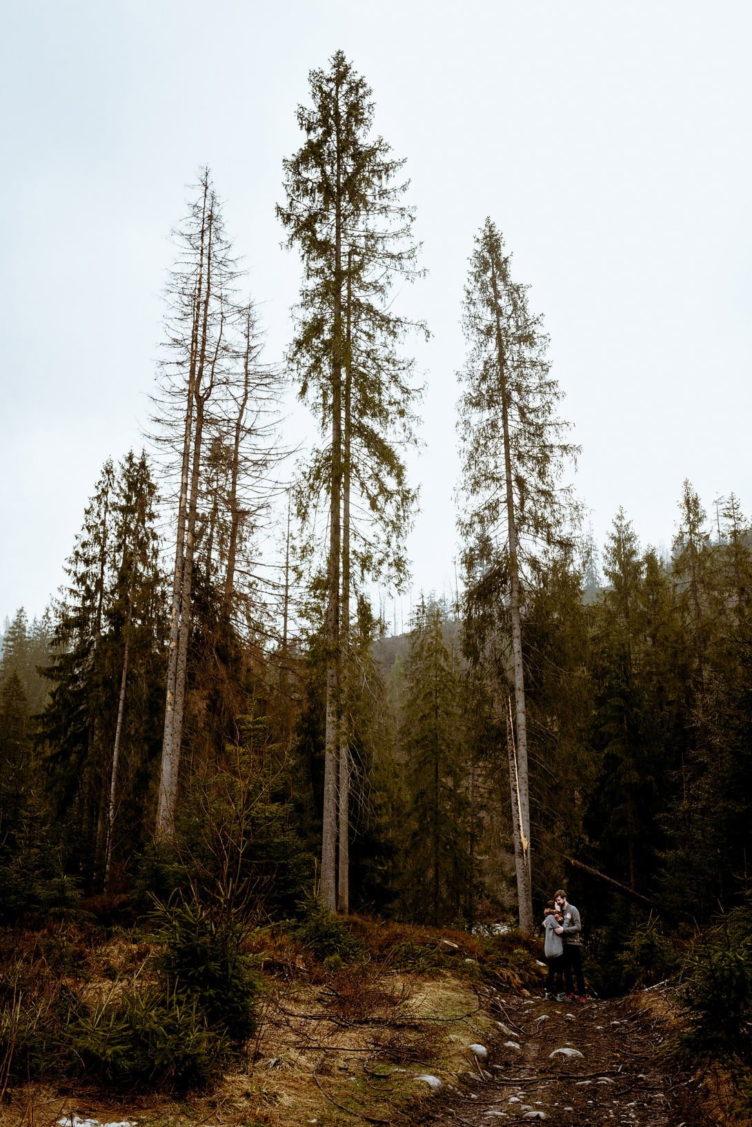 sesja Tatry